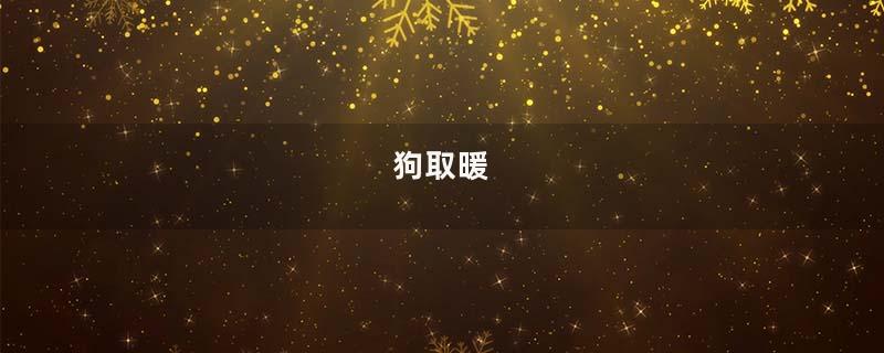 狗取暖