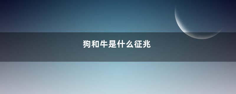 狗和牛是什么征兆