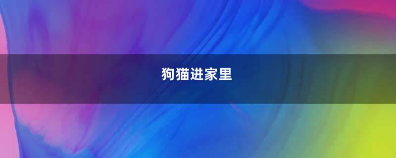 狗猫进家里