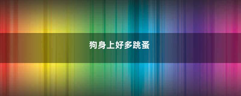 狗身上好多跳蚤