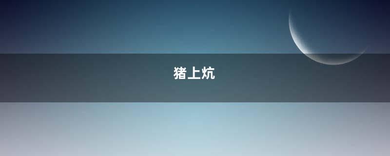 猪上炕