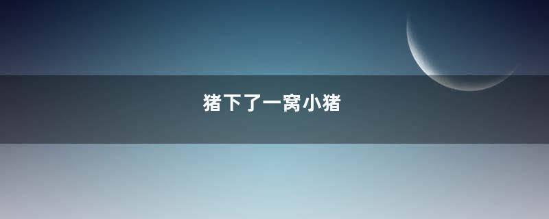 猪下了一窝小猪