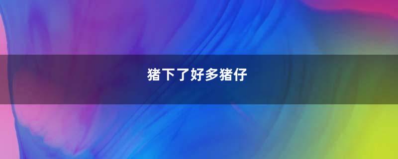 猪下了好多猪仔