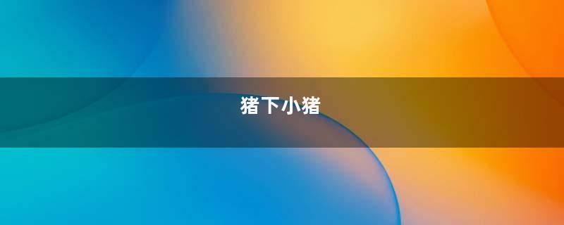 猪下小猪