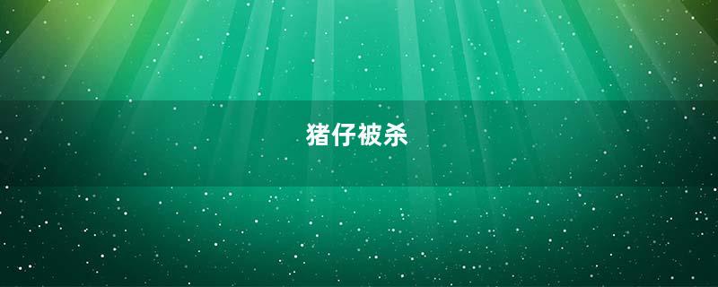 猪仔被杀
