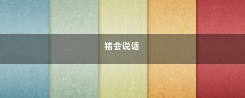 猪会说话