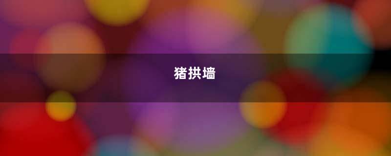 猪拱墙