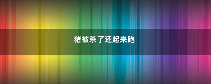 猪被杀了还起来跑
