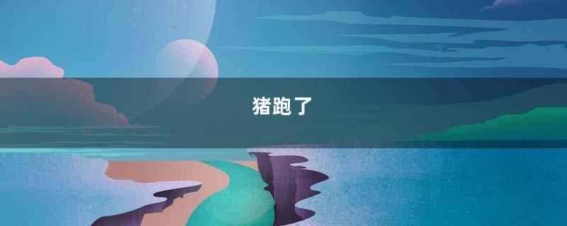 猪跑了