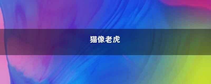 猫像老虎