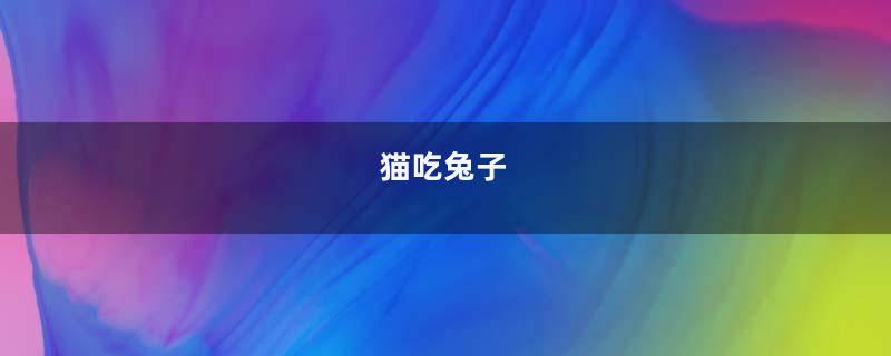 猫吃兔子