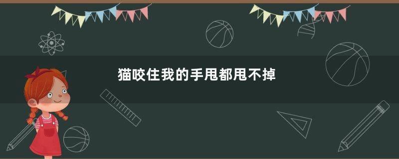 猫咬住我的手甩都甩不掉
