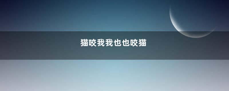 猫咬我我也也咬猫