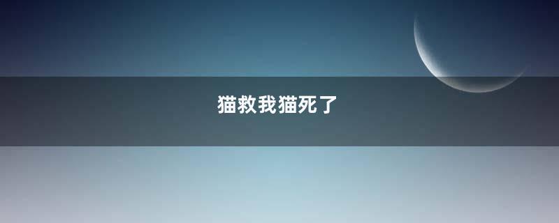 猫救我猫死了