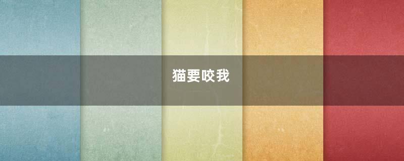猫要咬我