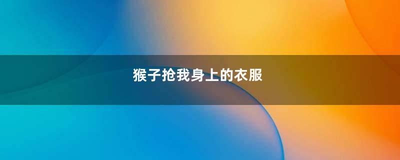 猴子抢我身上的衣服