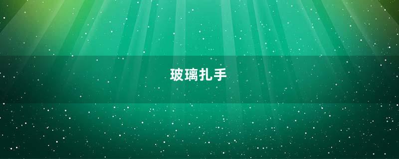 玻璃扎手
