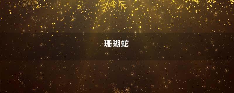 珊瑚蛇