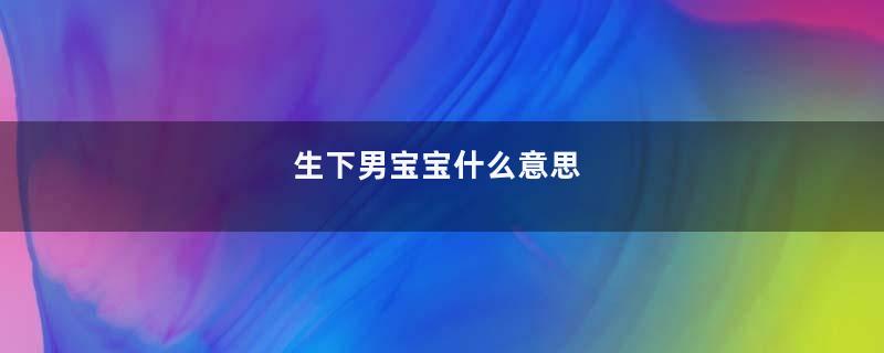 生下男宝宝什么意思