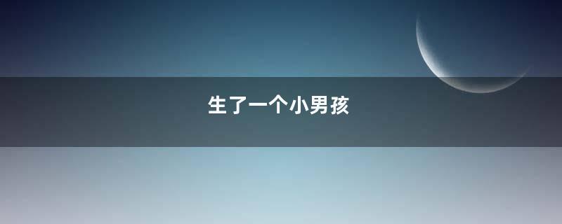 生了一个小男孩
