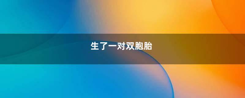 生了一对双胞胎