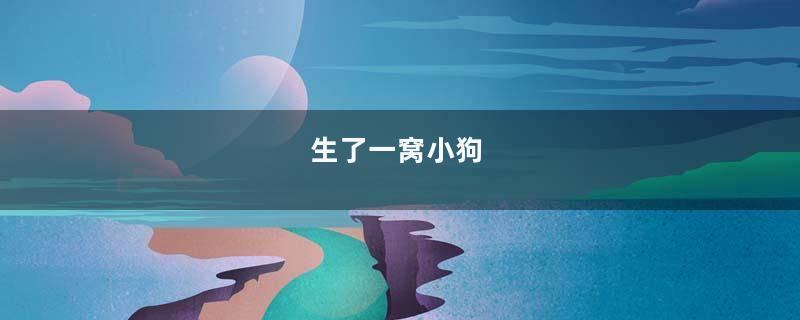 生了一窝小狗