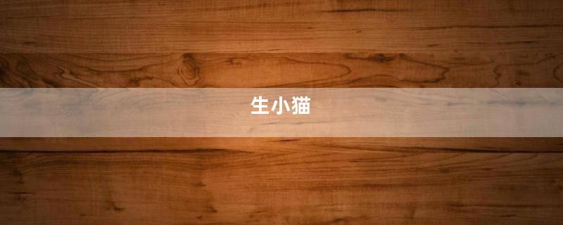 生小猫