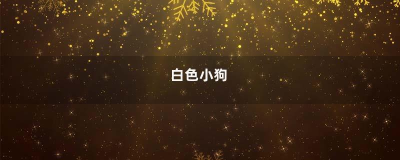 白色小狗