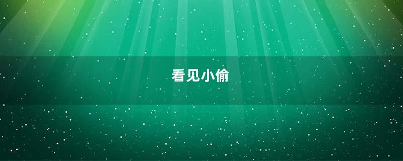 看见小偷