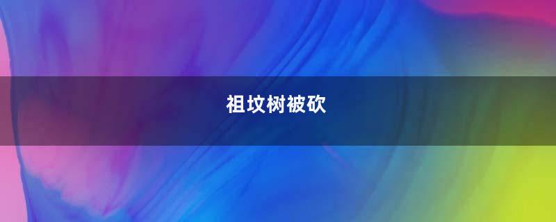祖坟树被砍