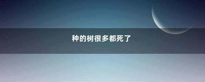 种的树很多都死了