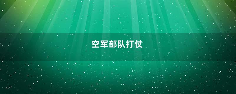 空军部队打仗