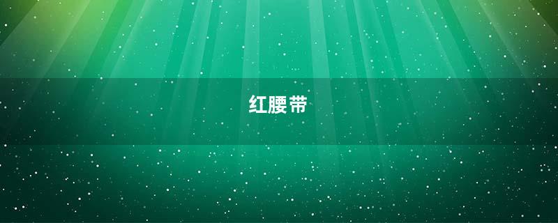 红腰带