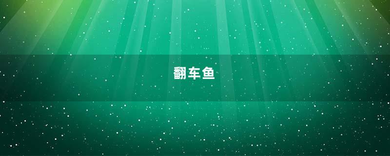 翻车鱼