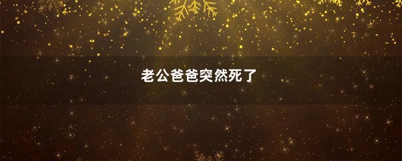 老公爸爸突然死了