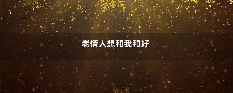 老情人想和我和好