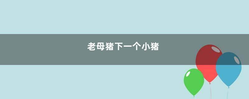 老母猪下一个小猪