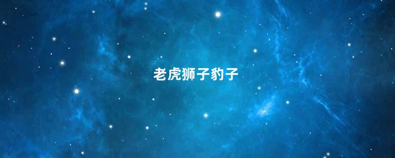 老虎狮子豹子