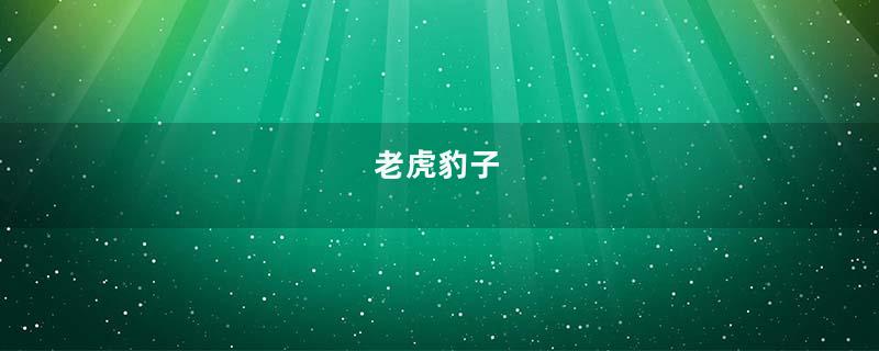 老虎豹子