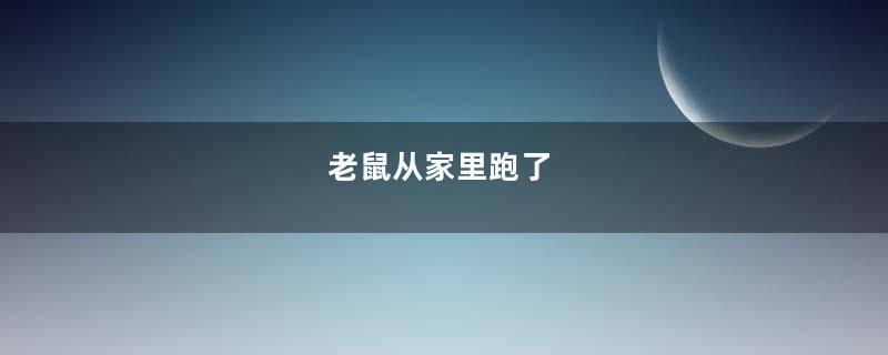 老鼠从家里跑了