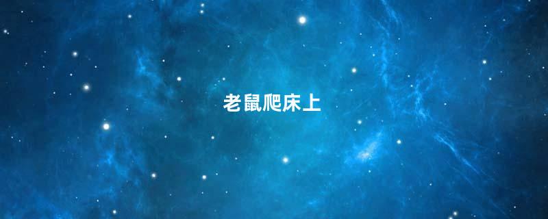 老鼠爬床上