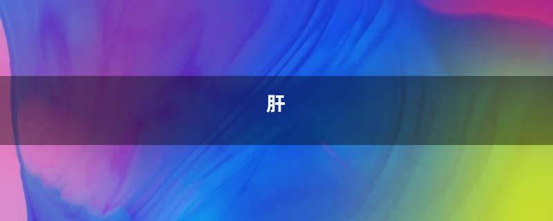 肝