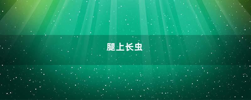 腿上长虫