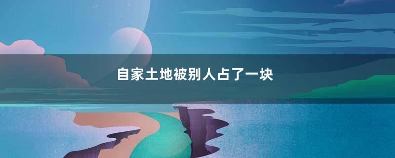 自家土地被别人占了一块