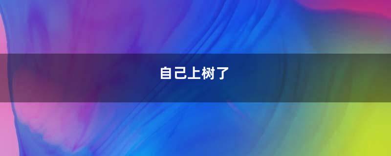自己上树了