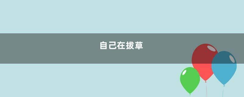 自己在拔草