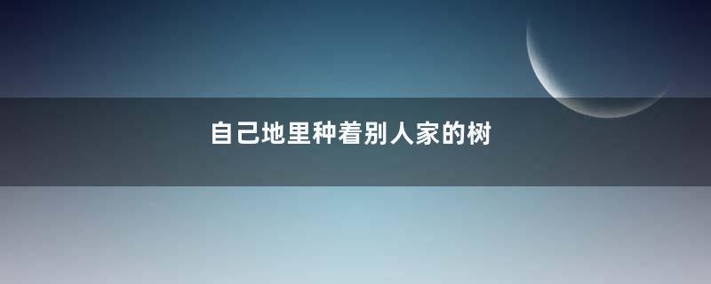 自己地里种着别人家的树