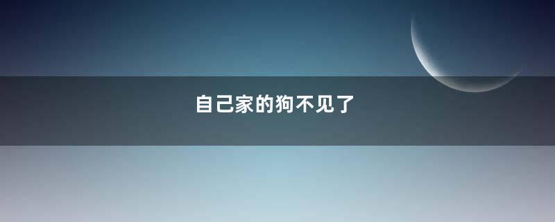 自己家的狗不见了