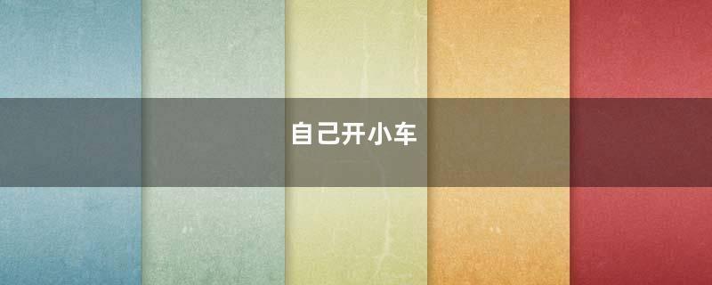 自己开小车