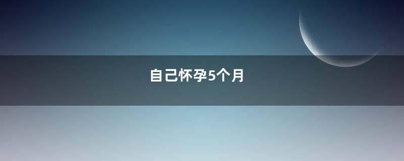 自己怀孕5个月